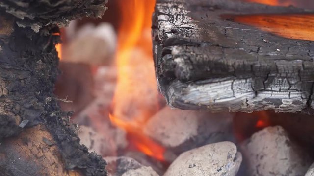 fire wood for barbecue charcoal Slow Motion Closeup of a warm fire burning in a campfire