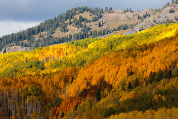 Colorado Rocky Mountain Scenic Beauty