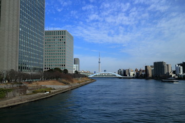 昼の隅田川風景