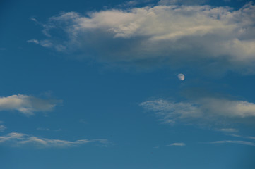昼間の月