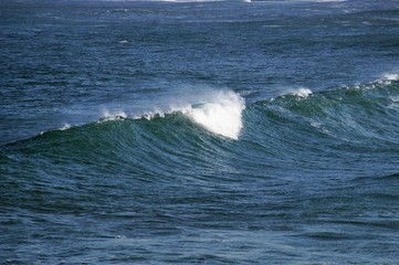 wind sweeps the crest