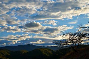 El árbol y el cielo