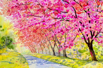 Obraz na płótnie Canvas Landscape flower puple,pink color of wild himalayan cherry