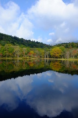 Fototapeta premium 小鳥ヶ池