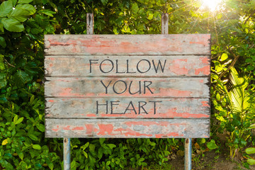 Follow Your Heart motivational quote written on old vintage board sign in the forrest, with sun rays in background.