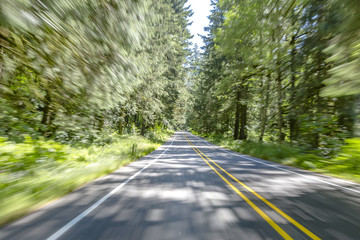 Obraz premium Motion blur shows as sunlight filters in through the dense rainforest canopy on this Washington road