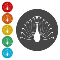 Peacock icons set - vector Illustration 