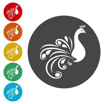 Peacock icons set - vector Illustration 