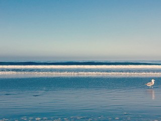 Obraz premium los angeles