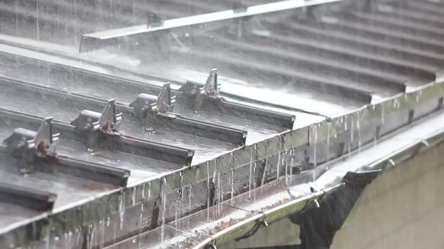 どしゃぶりの雨