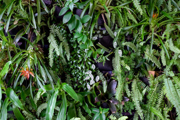 Plant wall
