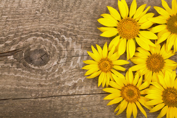 Three sunflowers on old wooden background with copy space for your text. Top view