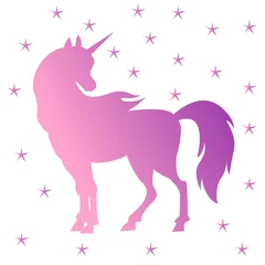 Foto op Canvas Unicorn silhouette, pink © rosad