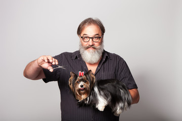 An elderly bearded hairdresser for dogs with scissors and a terrier on a gray background in the studio