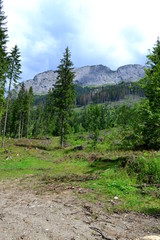 krajobraz górski w Tatrach Słowackich