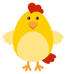Cute chicken on white background