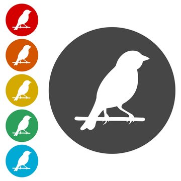 Bird icons set - vector Illustration 