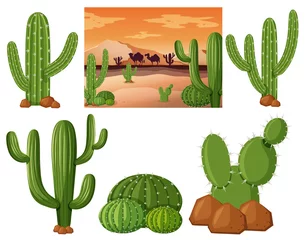 Foto op Canvas Desert field with cactus plants © blueringmedia