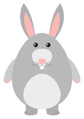 Cute rabbit with gray fur