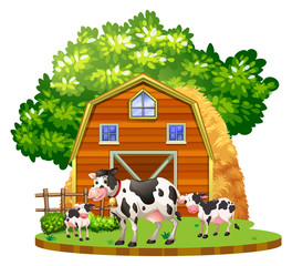 Cows live on the farmyard