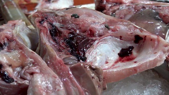 Flies Sitting on Meat