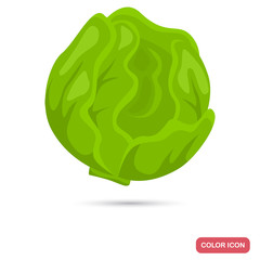 Cabbage color icon for web and mobile design