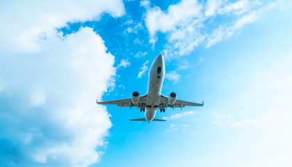 旅客機・飛行機・青空