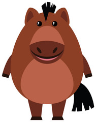Brown pony on white background