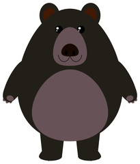 Black bear on white background
