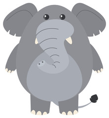 Gray elephant on white background