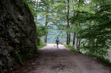 Wanderin unterwegs auf Waldweg