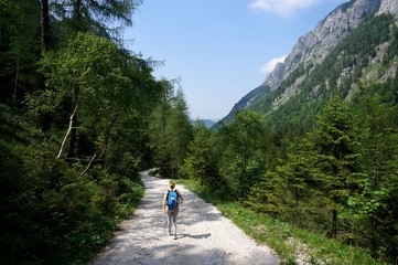 Fototapeta premium Junge sportliche Frau wandert auf Waldweg