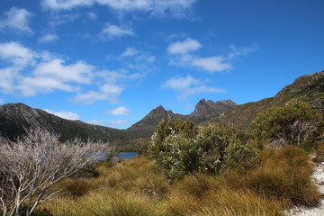 Obraz premium Cradle Mountain- Dove Lake