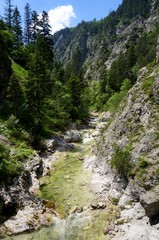 Fototapeta na wymiar Gebirgsbach in wilder Landschaft