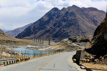 curve highway road in tibet
