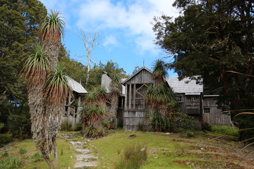 Fototapeta premium Waldheim Chalet-Tasmanien
