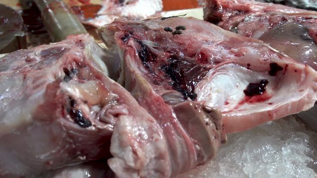 Flies Sitting on Meat