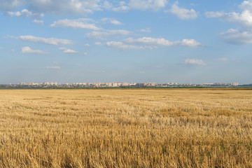 Field and city