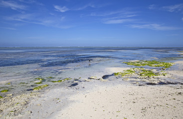 Beach of Zanzibar at low tide, Africa