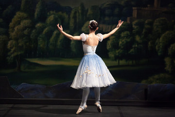 dancing, professionalism, enthusiasm concept. charming ballerina in the moment of movement against the background of decorating elements, painted trees and castle © melnikofd
