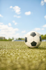 Fototapeta premium Ball on Football Field