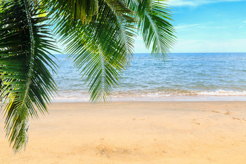 Palm  leaves and summer beach  sea with empty