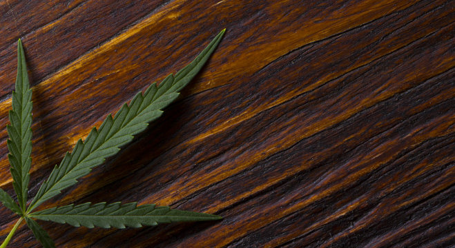 A hemp leaf on a wooden texture background