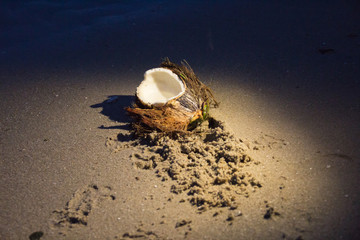 Fototapeta na wymiar half coconut on sand