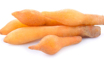 Fingerroot, Kaempfer, Boesenbergia isolated on white background