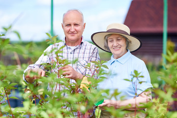 Couple of Senior Farmers in Garden