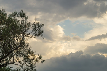 Fototapeta na wymiar stormy sky with a tree at the edge