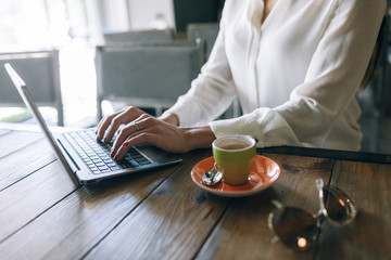 Fototapeta na wymiar E-commerce. Woman shopping on Internet. Laptop typing, working at coffee break