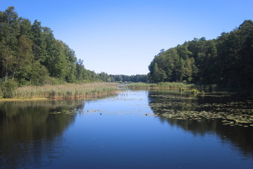 Fototapeta na wymiar Jezioro w środku puszczy
