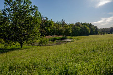 Fototapeta na wymiar Farm Pond